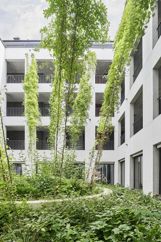 Centralplatz, Thalwil, Modell Ansicht, , Fischer Architekten AG Zürich